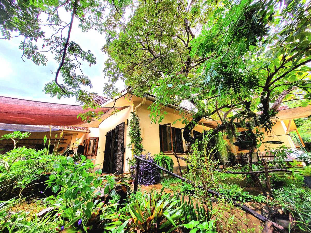 3 Bed Villa with Swimming Pool in Diani - 1