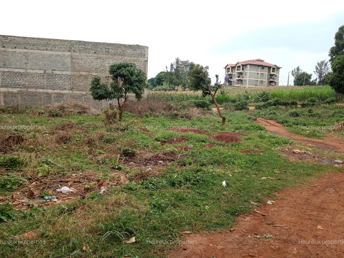Land in Ruaka - 3