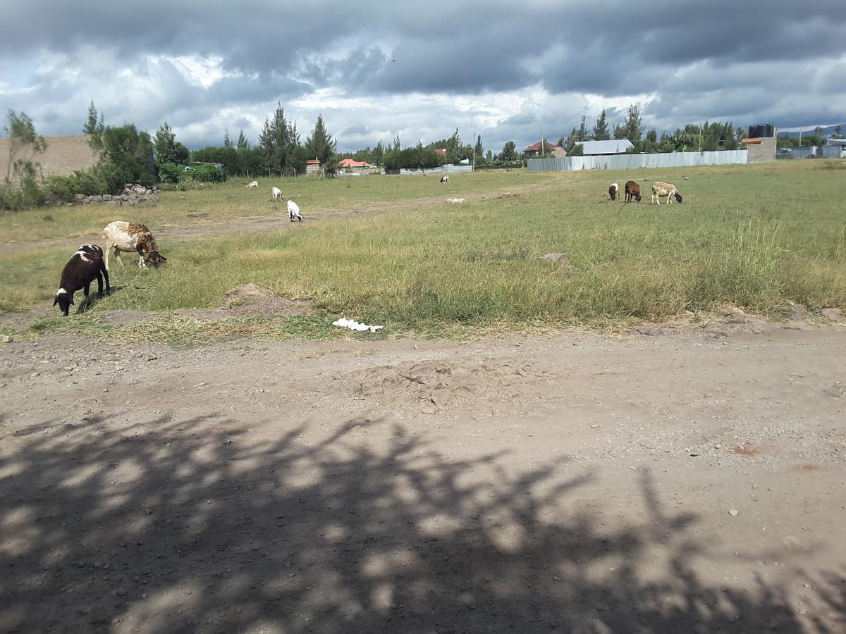 1 ac Residential Land in Ongata Rongai - 9