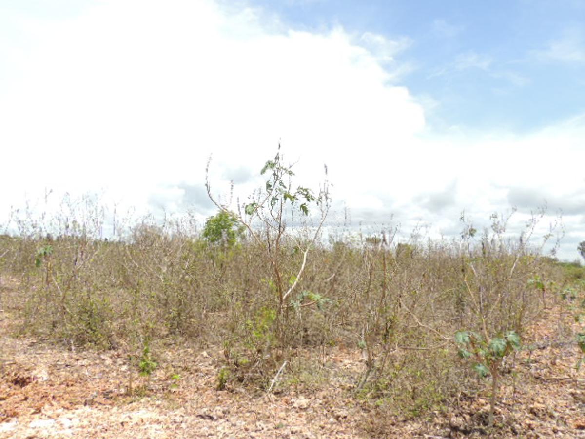 0.25 ac Residential Land at Diani Beach Road - 8