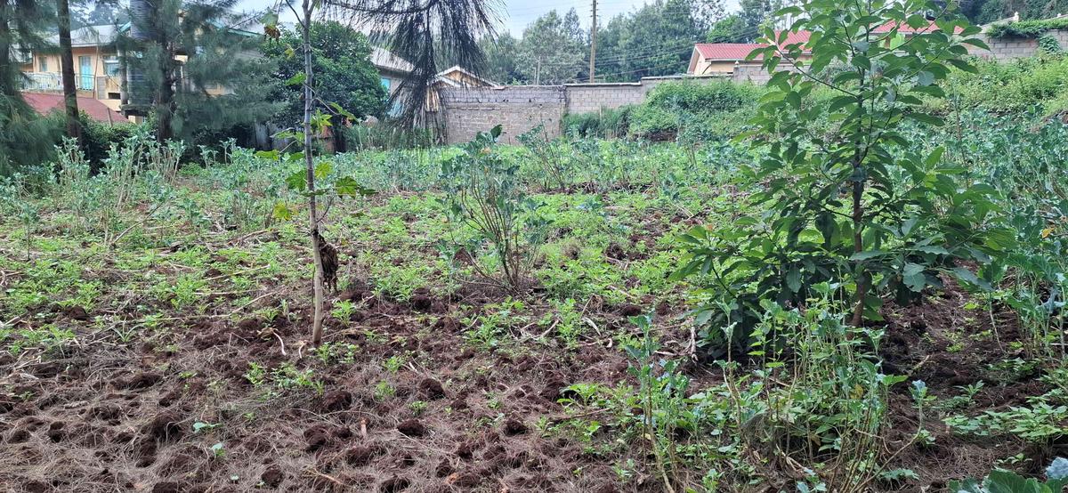 0.5 ac Land in Ngong - 11