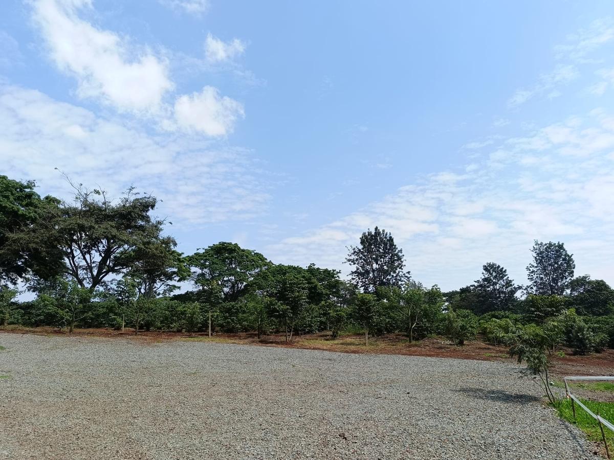 Residential Land at Tatu City - 2