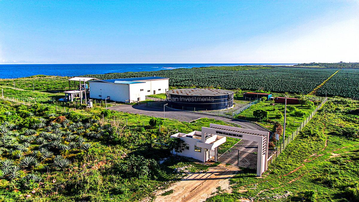 505.86 m² Land in Vipingo - 14