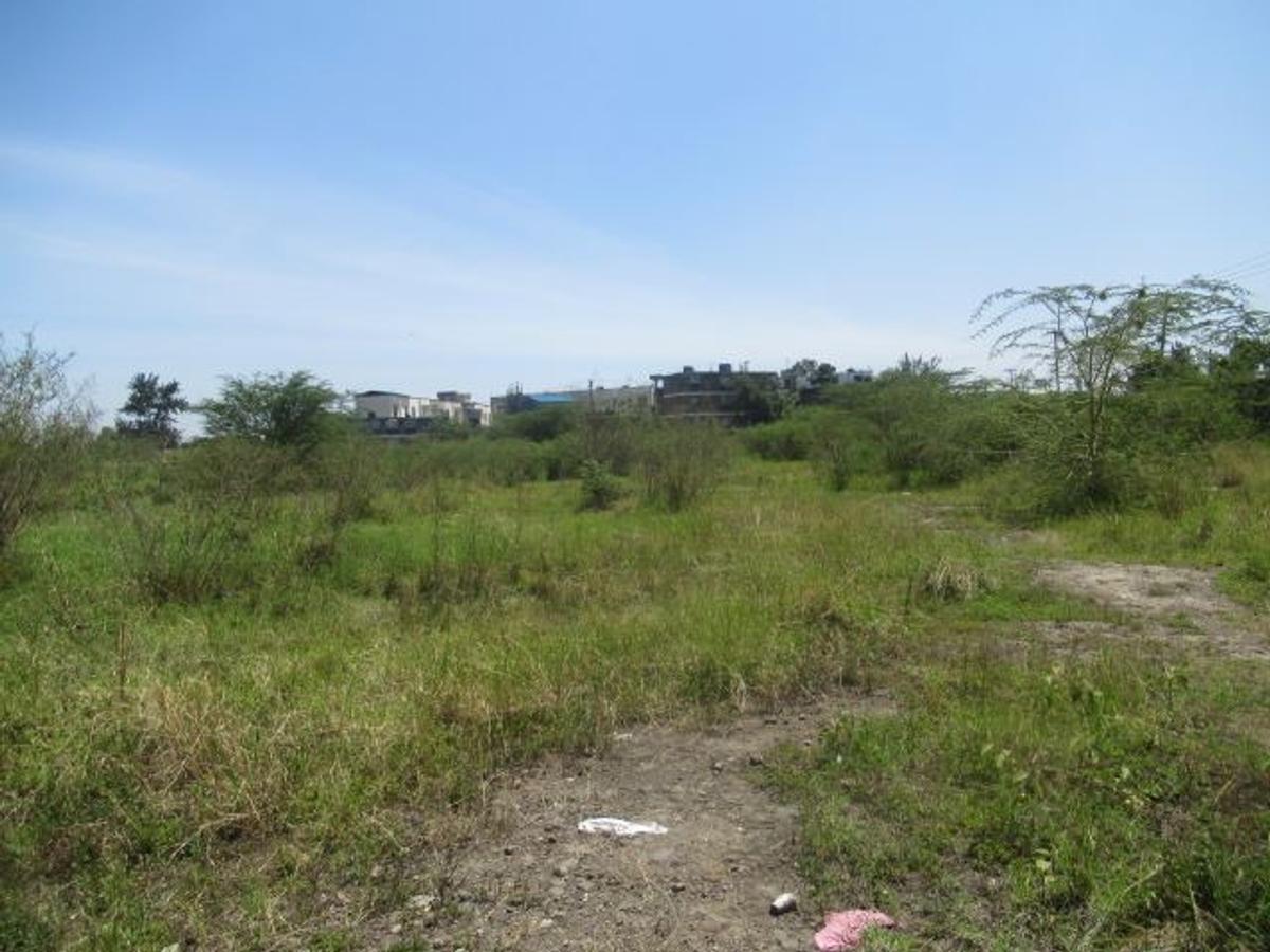 23,796 m² Commercial Land at Nyasa Road - 10