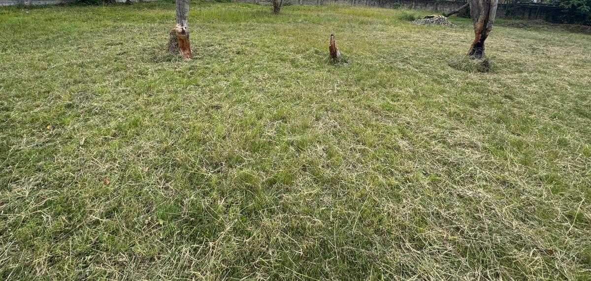 Residential Land in Kawangware - 3