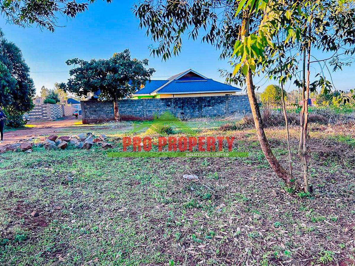 0.05 ha Residential Land in Kikuyu Town - 12