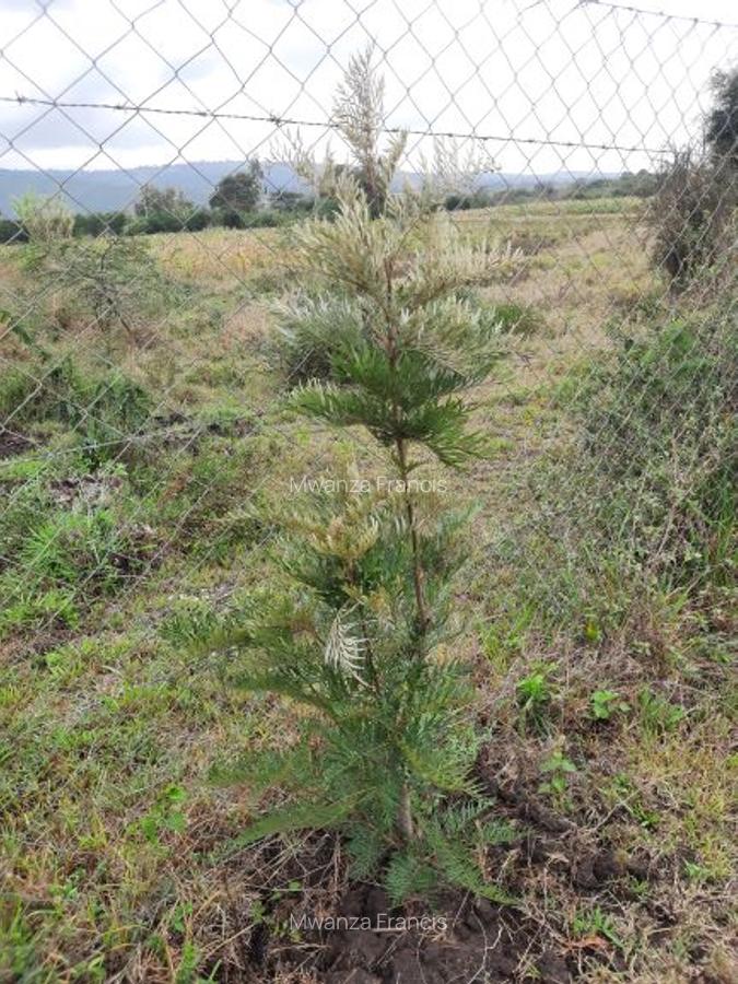 2 ac Land at Kangundo Road - 4