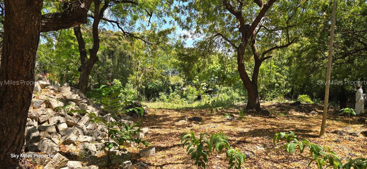 1 ac Land at Hemingways - 4