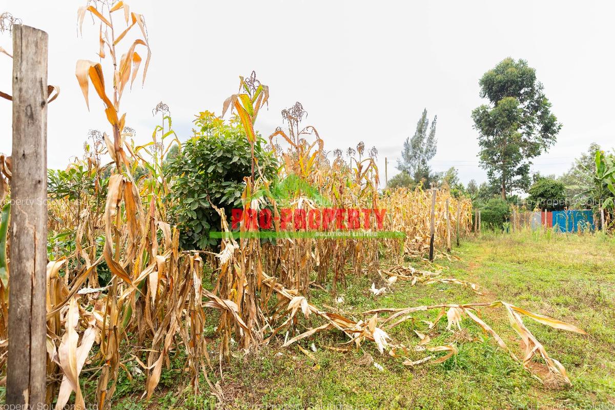 0.05 ha Residential Land in Kikuyu Town - 14