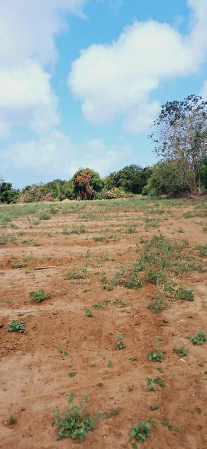 Land in Kilifi - 7