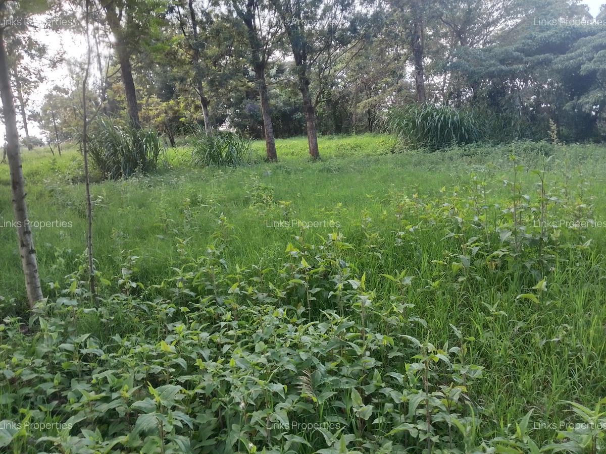 Land at Kibiko Ngong - 15