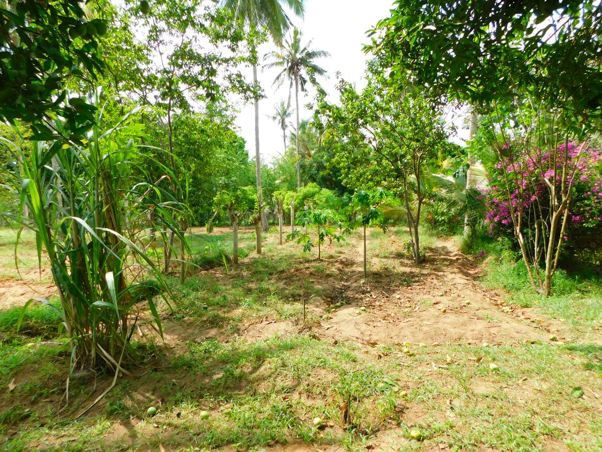 8 ac Land in Kikambala - 3