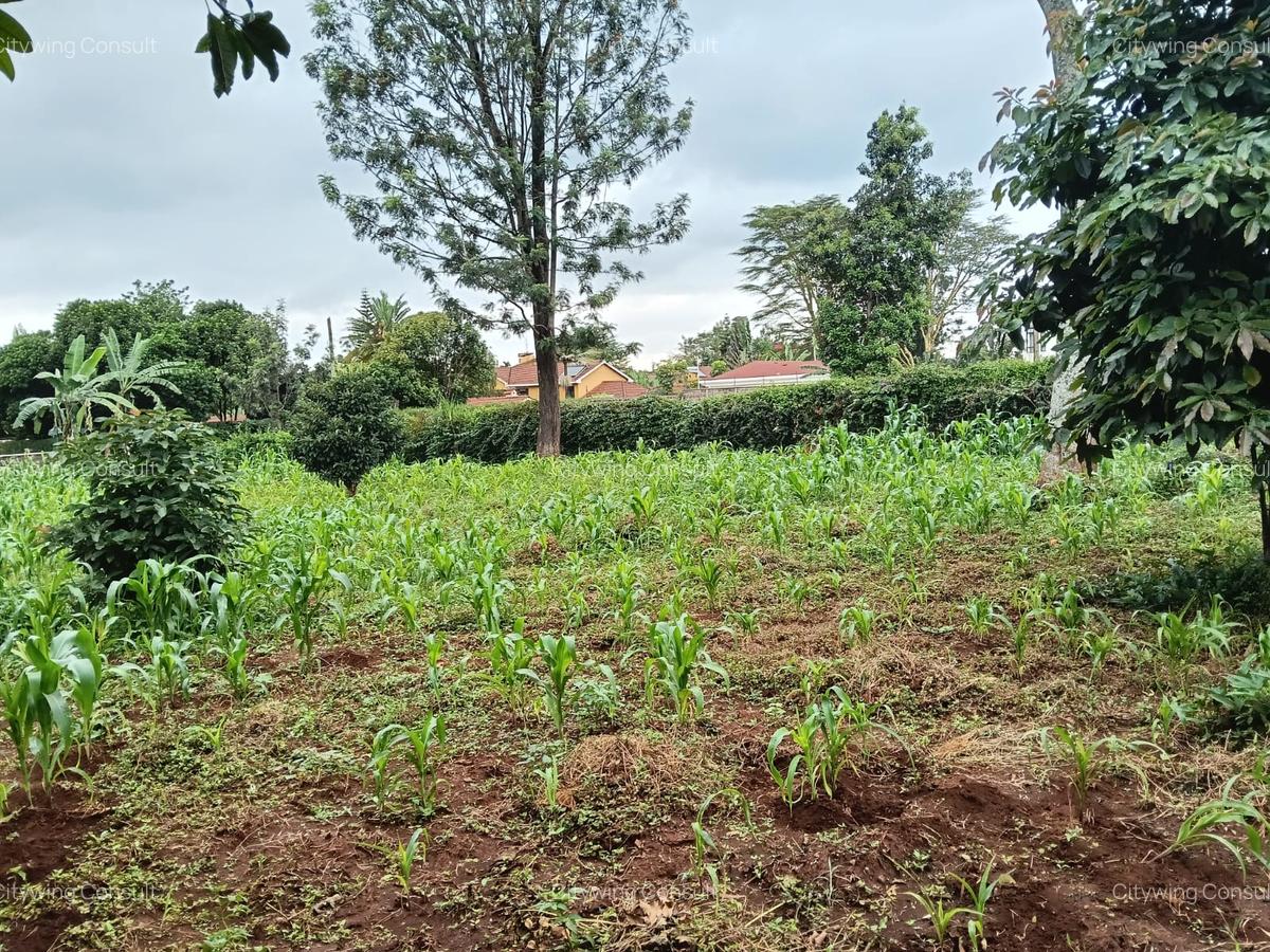 Land at Mimosa Road - 3