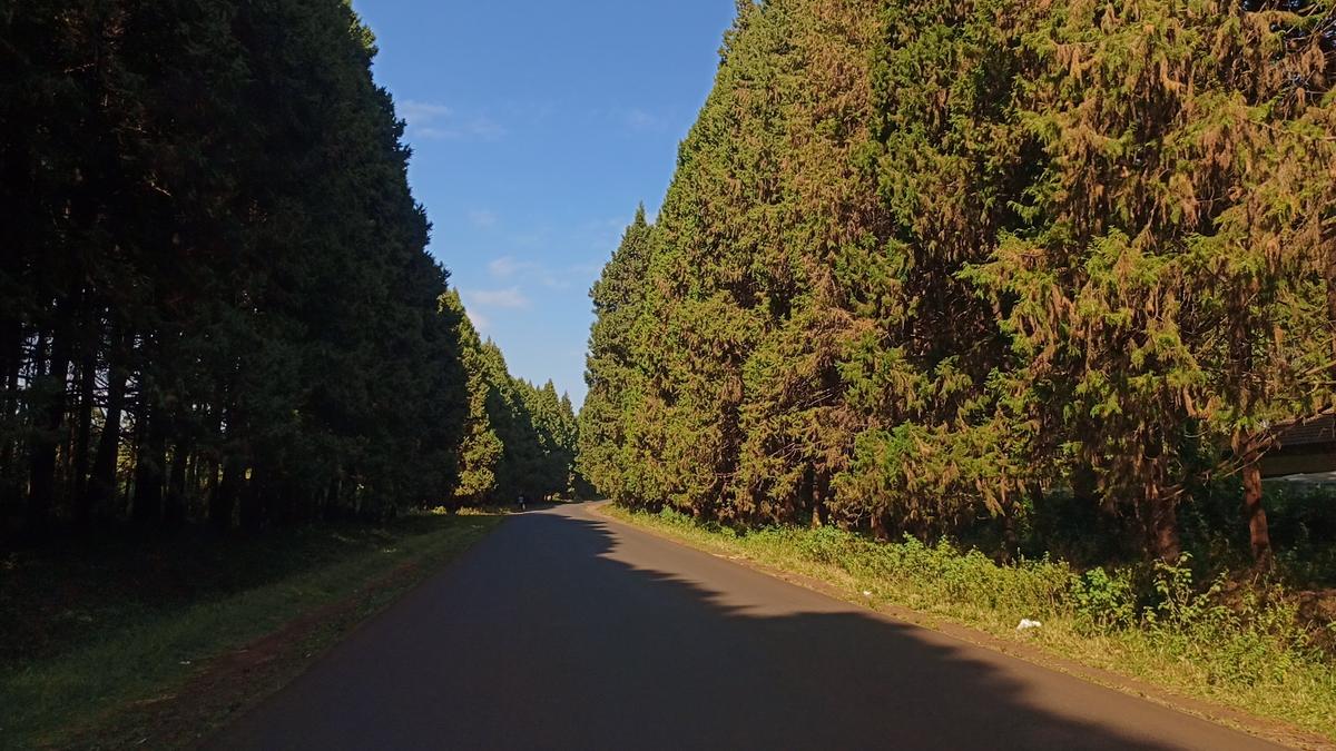 500 m² Residential Land at Kikuyu - 2