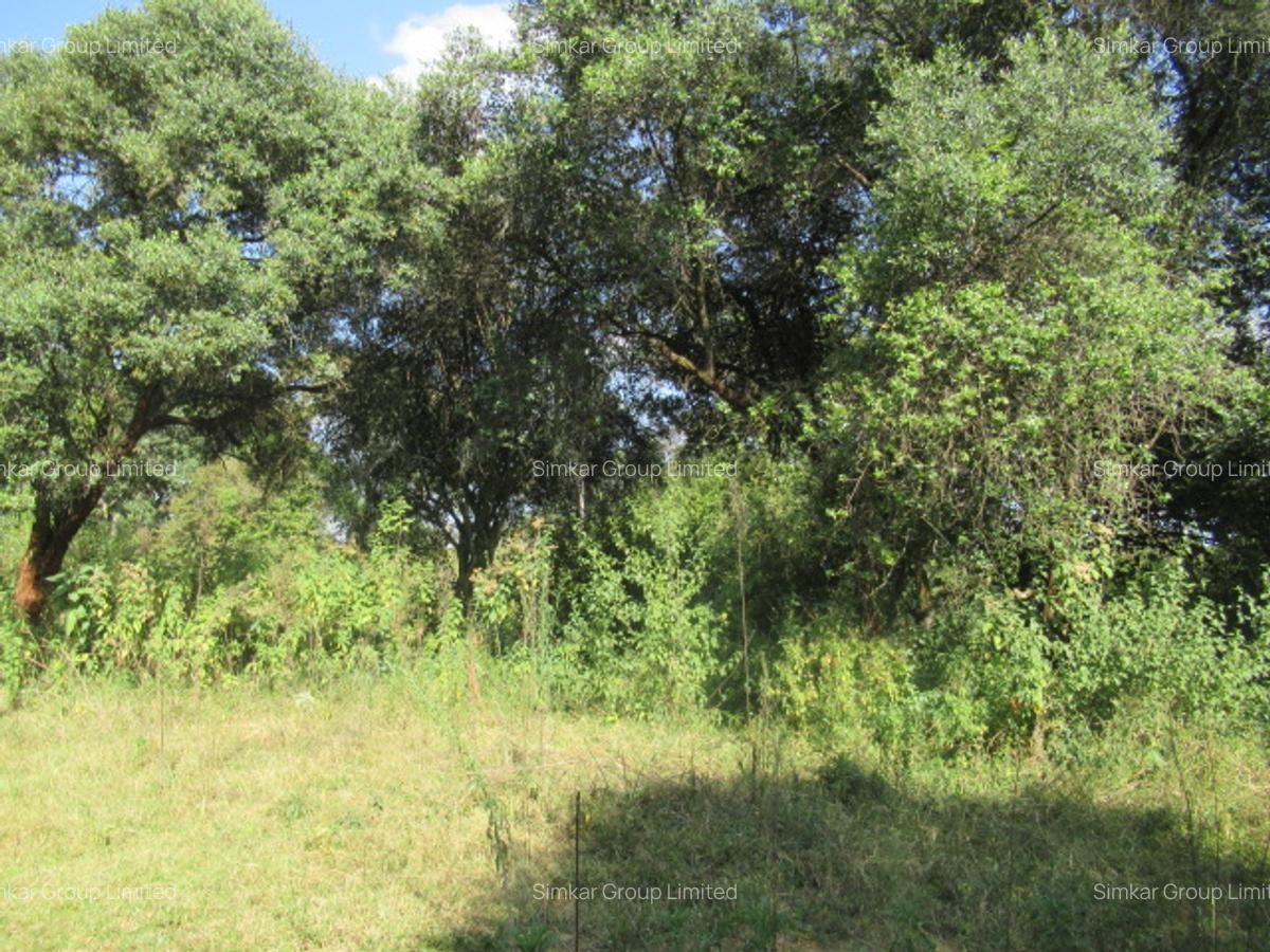 9 ac Land at Karen - 4