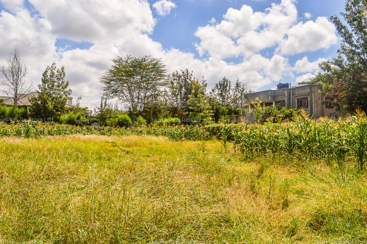 Residential Land at Ole Pasha Drive - 7