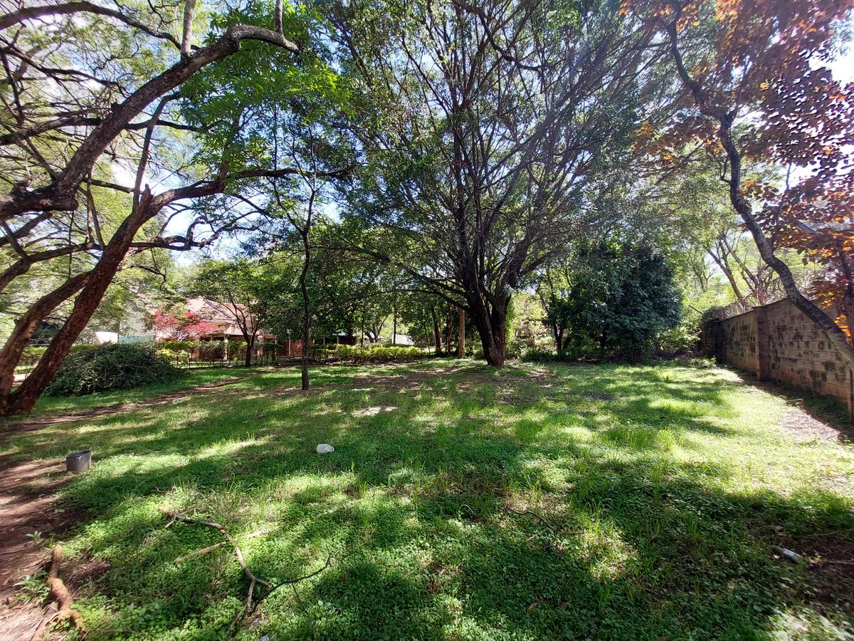 Residential Land at James Gichuru - 16