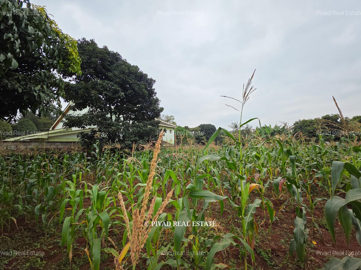 0.5 ac Land in Runda - 4