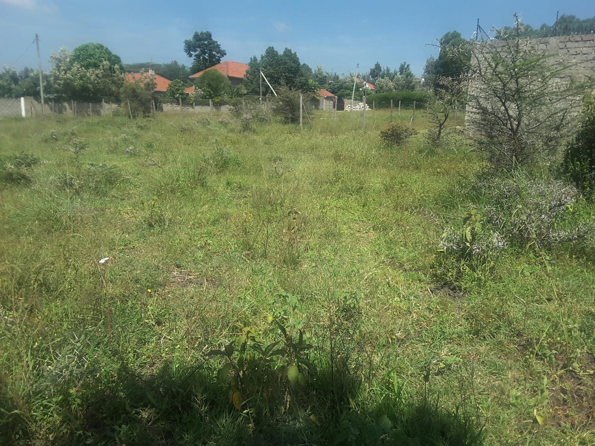 0.25 ac Residential Land in Ongata Rongai - 2