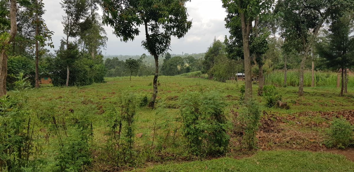 Residential Land at Mokoyot Close - 7