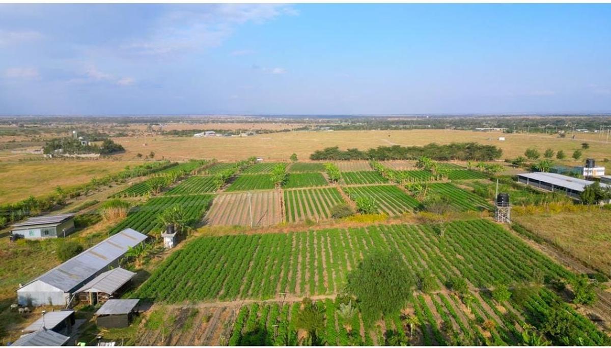 5,000 ft² Land at Kisaju Behind Kenchick - 4