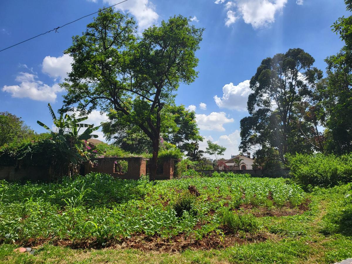 Commercial Land at Lower Kabete - 8