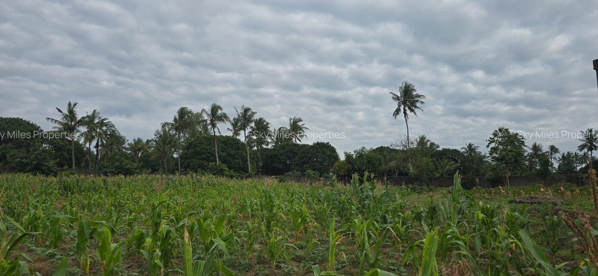 6 ac Land at Bomani - 11