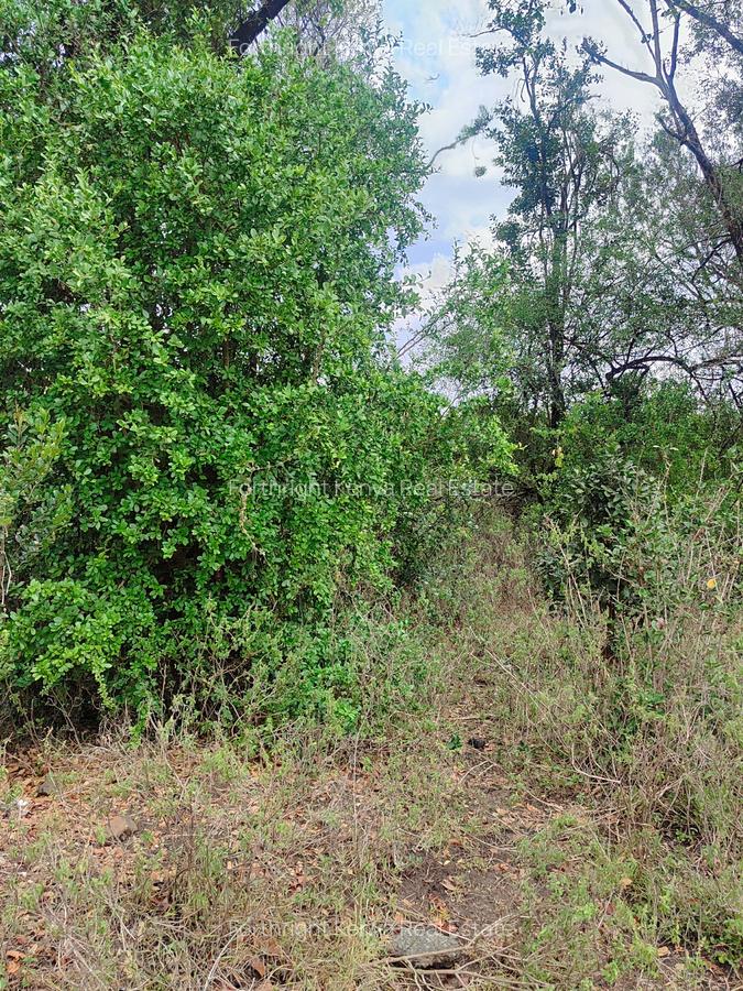 Residential Land at Hardy - 18