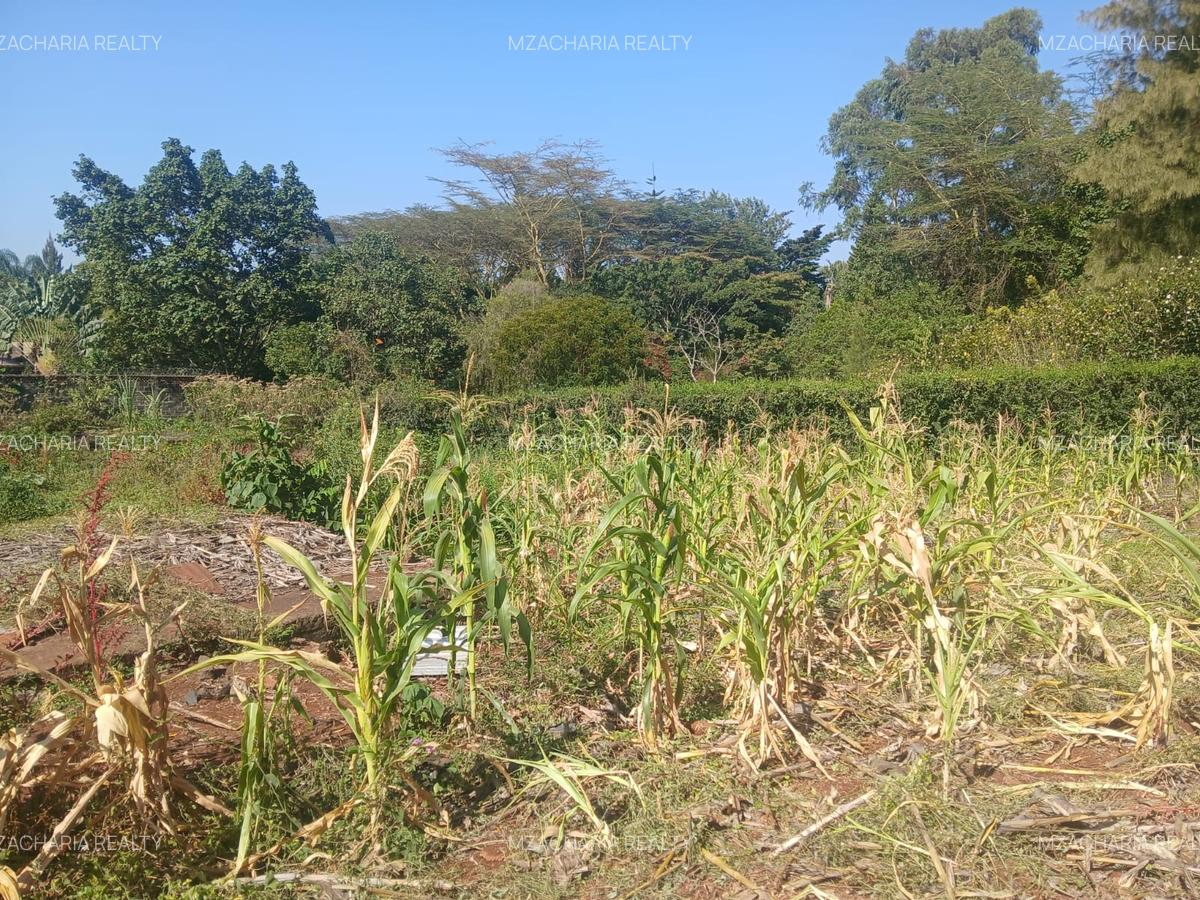 0.5 ac Land in Nyari - 2