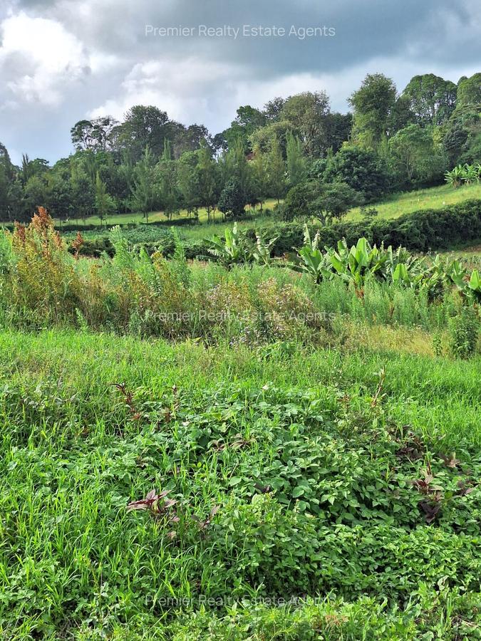 1 ac Residential Land at Tigoni - 8