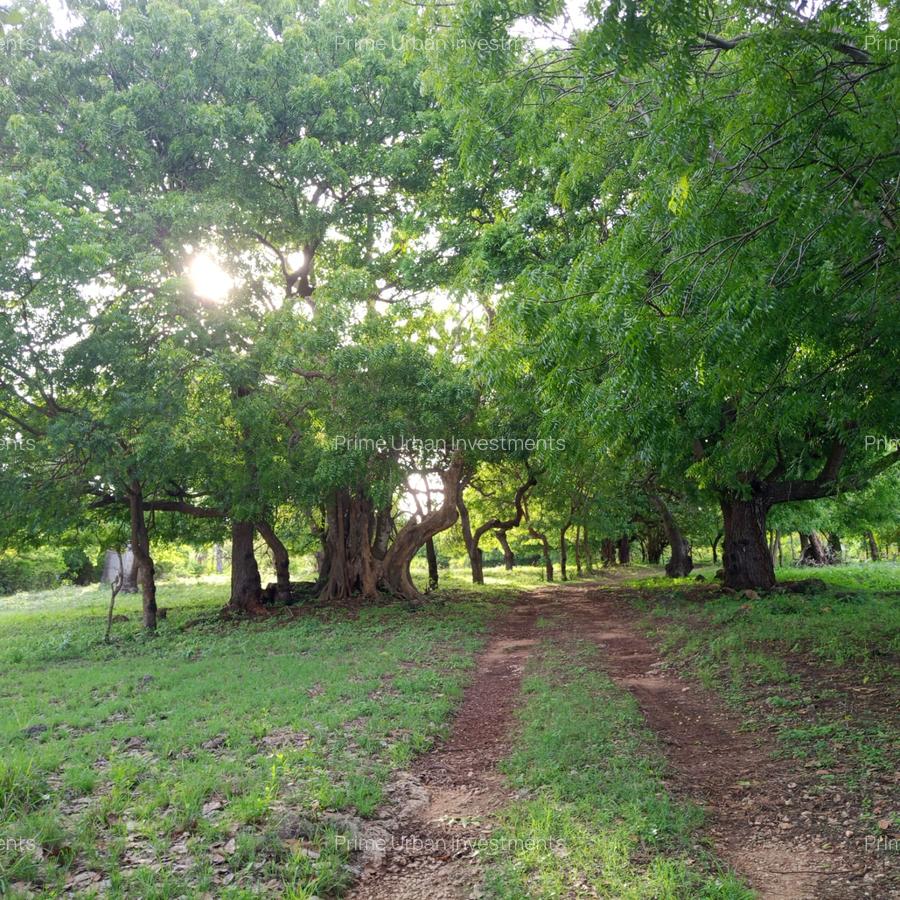 90 ac Residential Land at Kuruwitu-Vipingo - 16