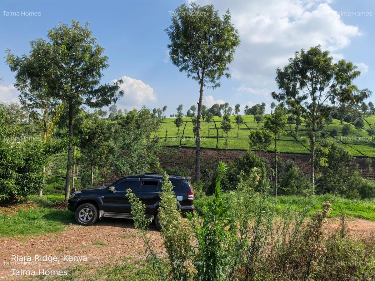 Land at Tigoni - 1
