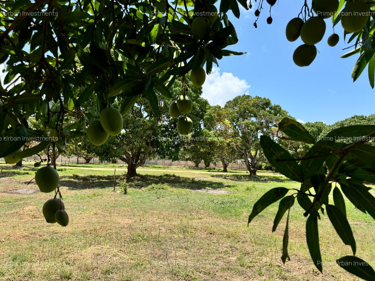 505.86 m² Land in Kikambala - 7