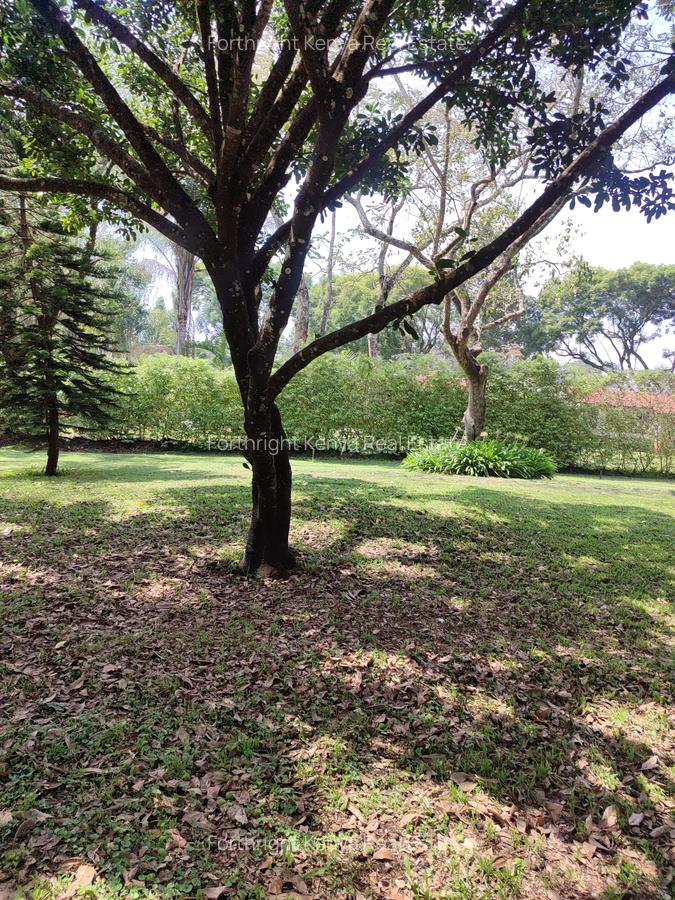 1 ac Land at Ndege Road - 3