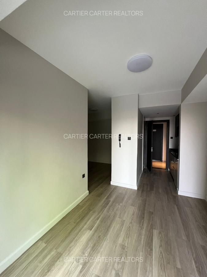 Studio Apartment with Swimming Pool in Upper Hill - 6