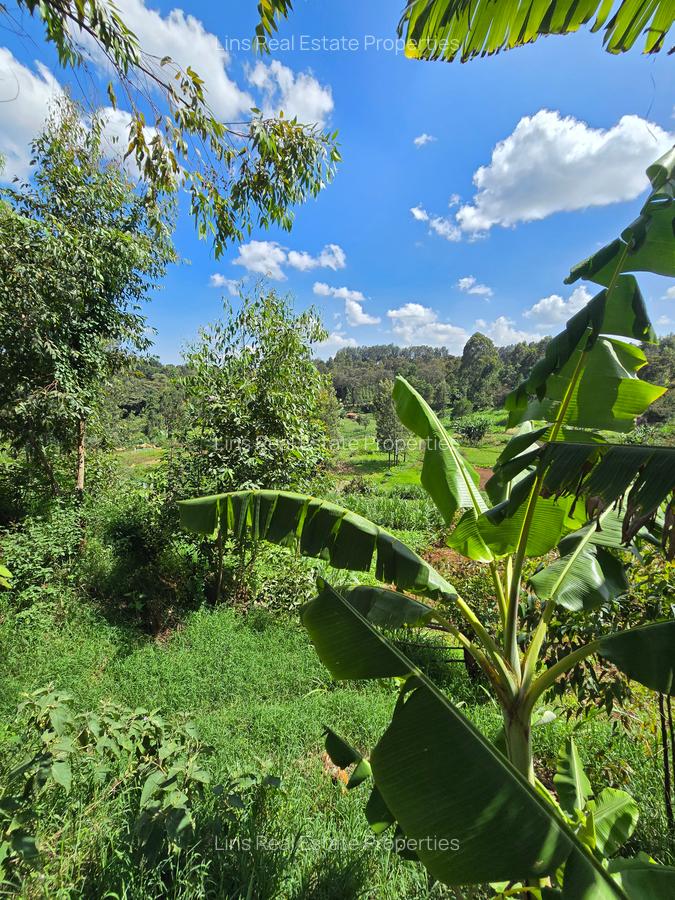 Residential Land in Kitisuru - 12