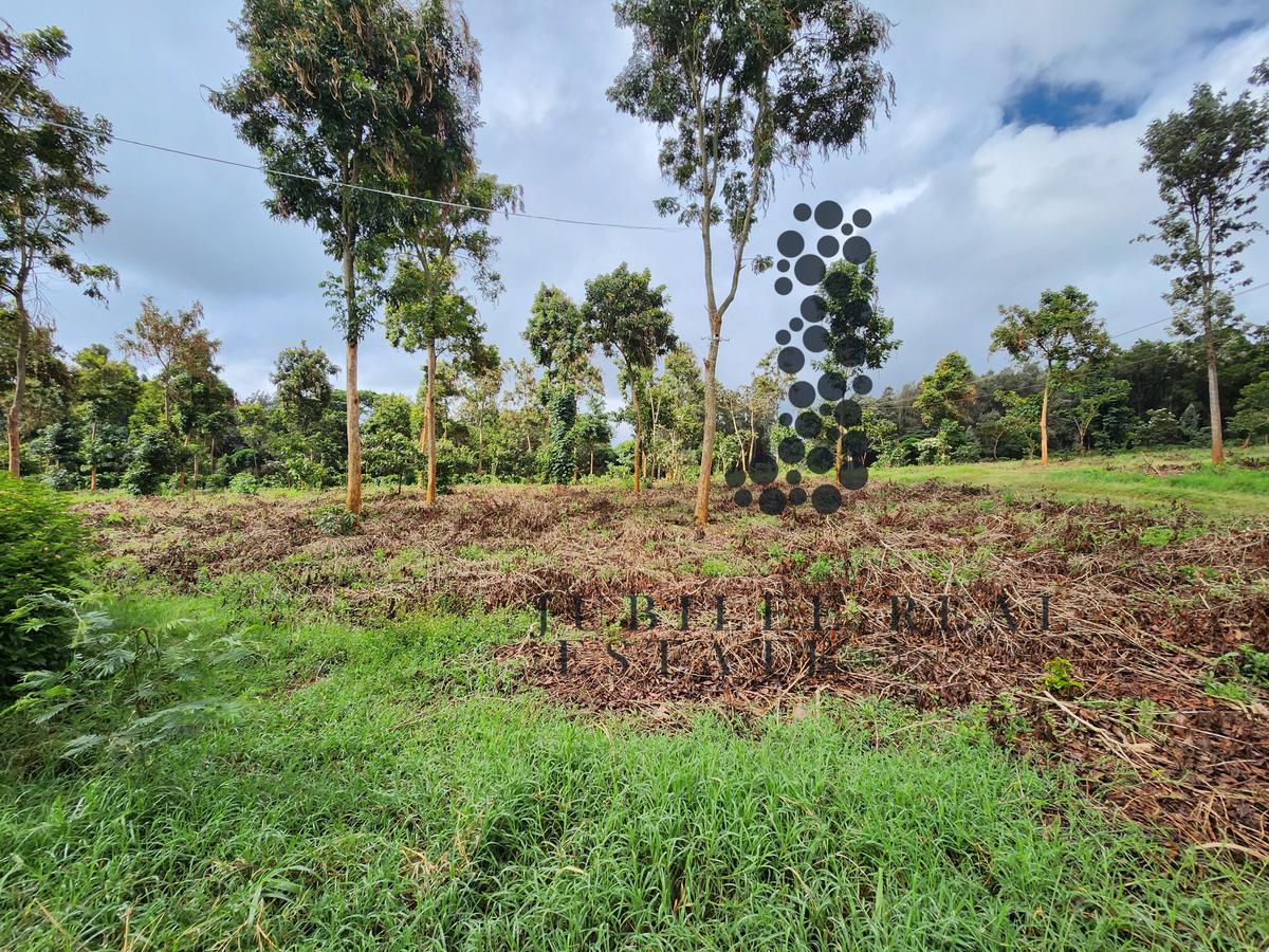 50 ac Land in Lower Kabete - 5