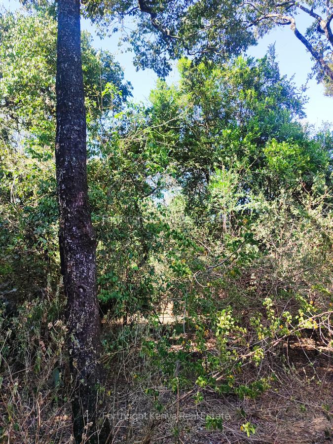 0.5 ac Land at Hardy - 5