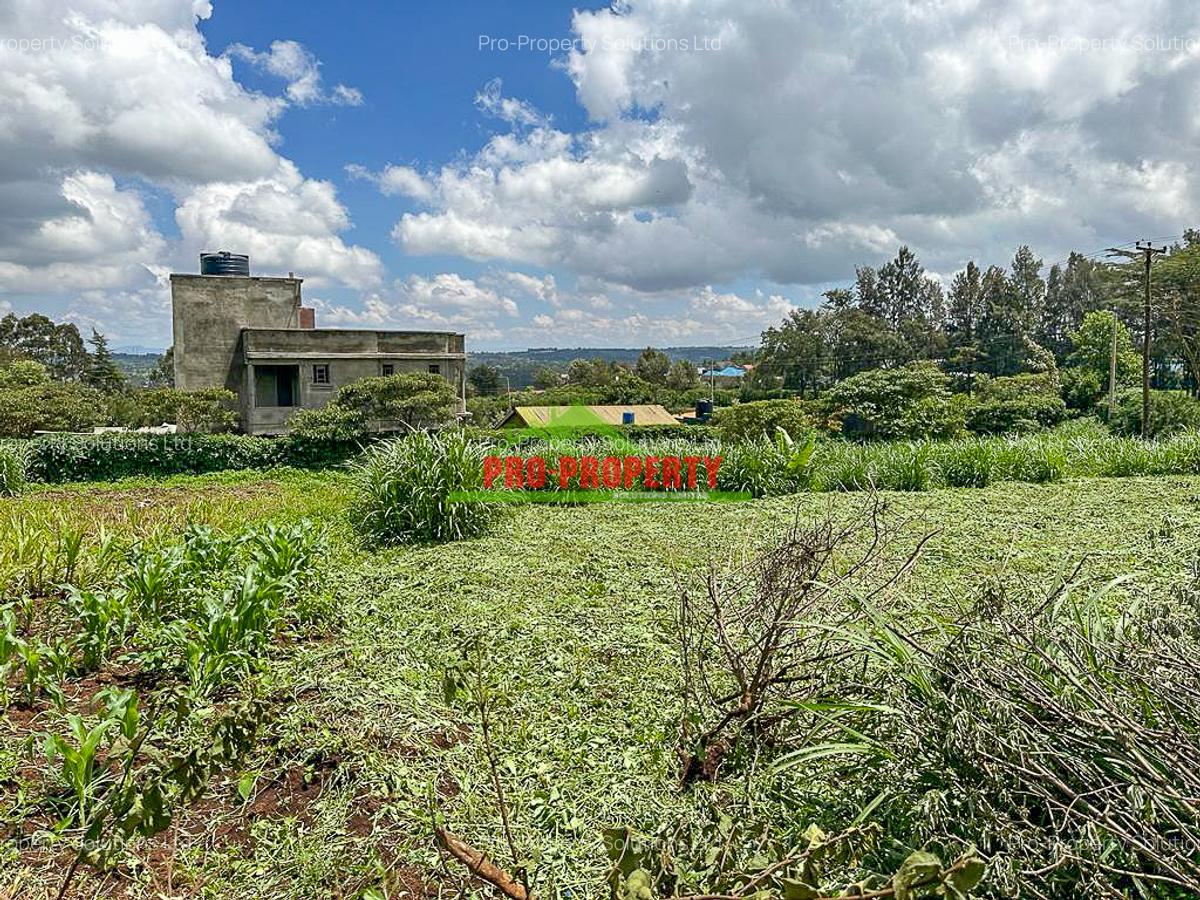 0.05 ha Commercial Land in Rironi - 3