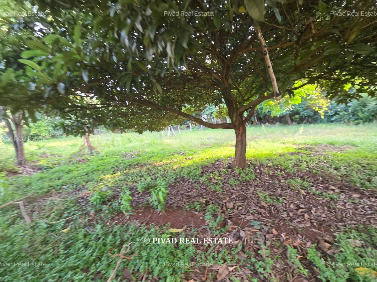 1.1 ac Land in Runda - 1