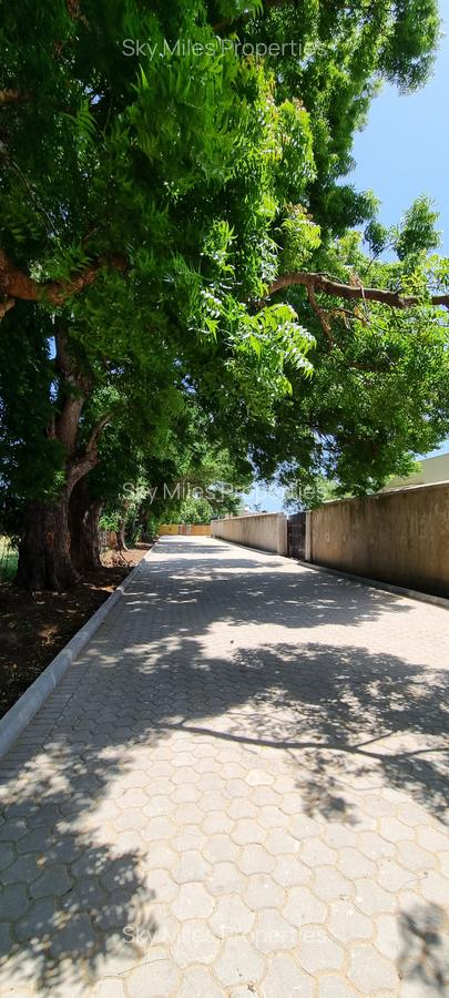 1,000 ft² Land at Kuruwitu - 3