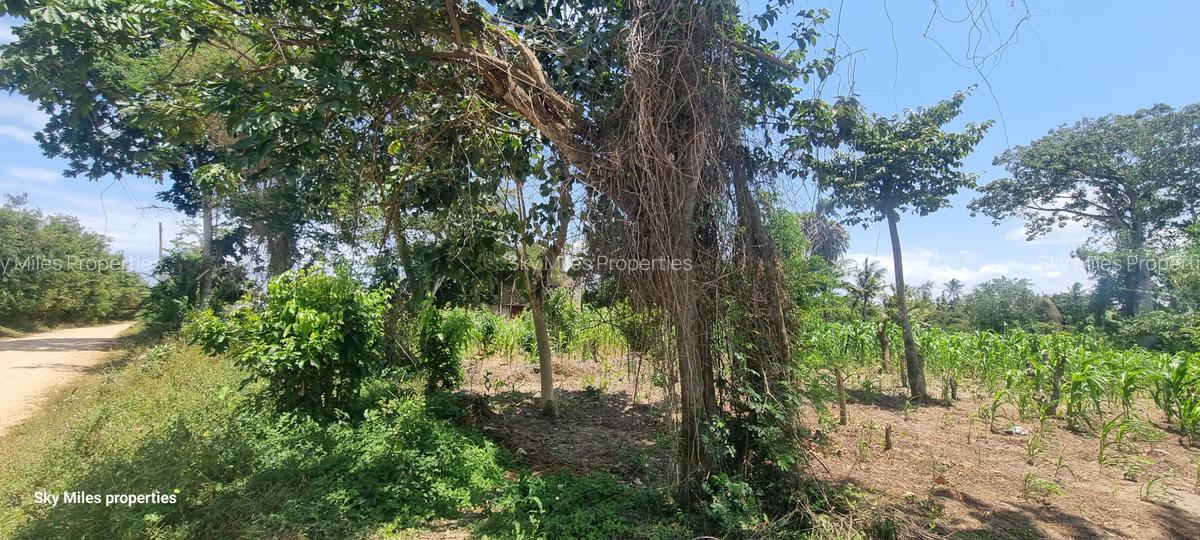 8 ac Land at Mtwapa - 19