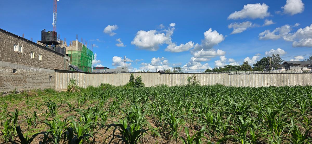 0.5 ac Land at Ruiru - 3