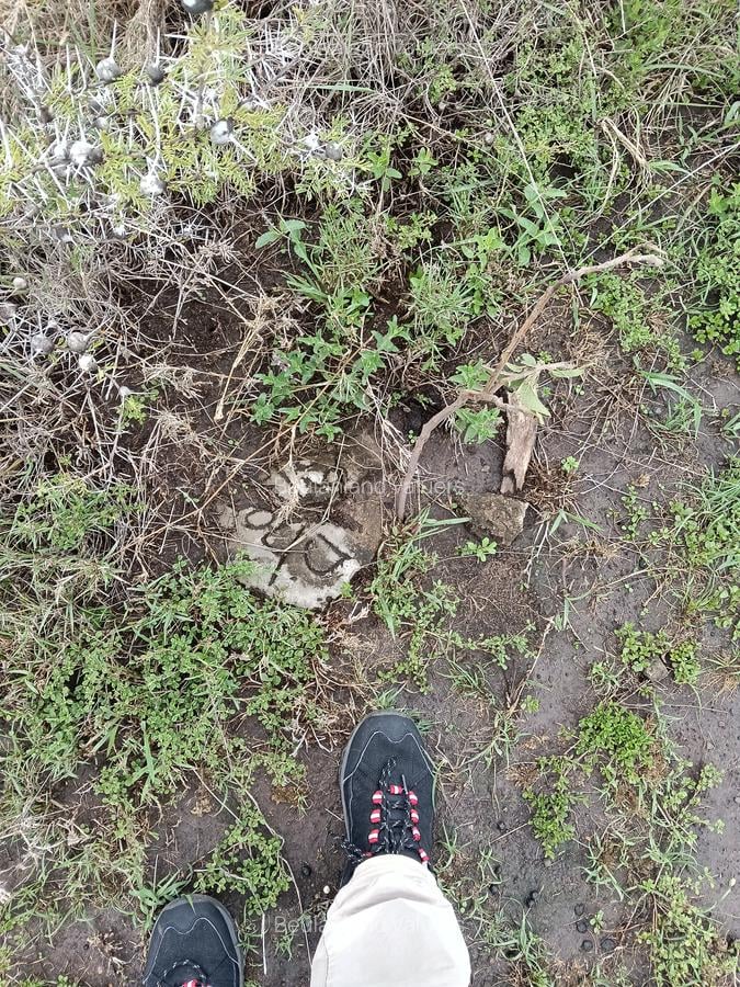 Land at Eastern Bypass - 3