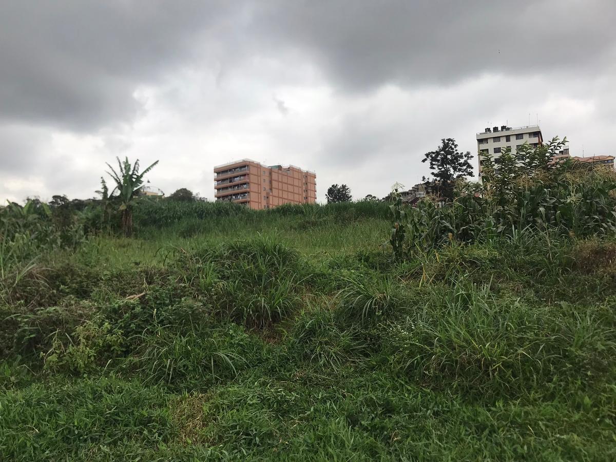 5,000 ft² Commercial Land at Section Ii Thika Town Centre Thika - 7