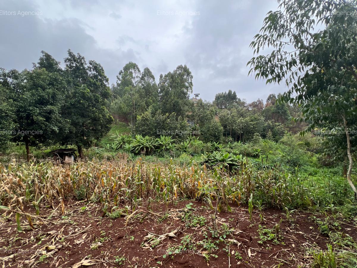 0.42 ac Residential Land at Kirawa Road - 10