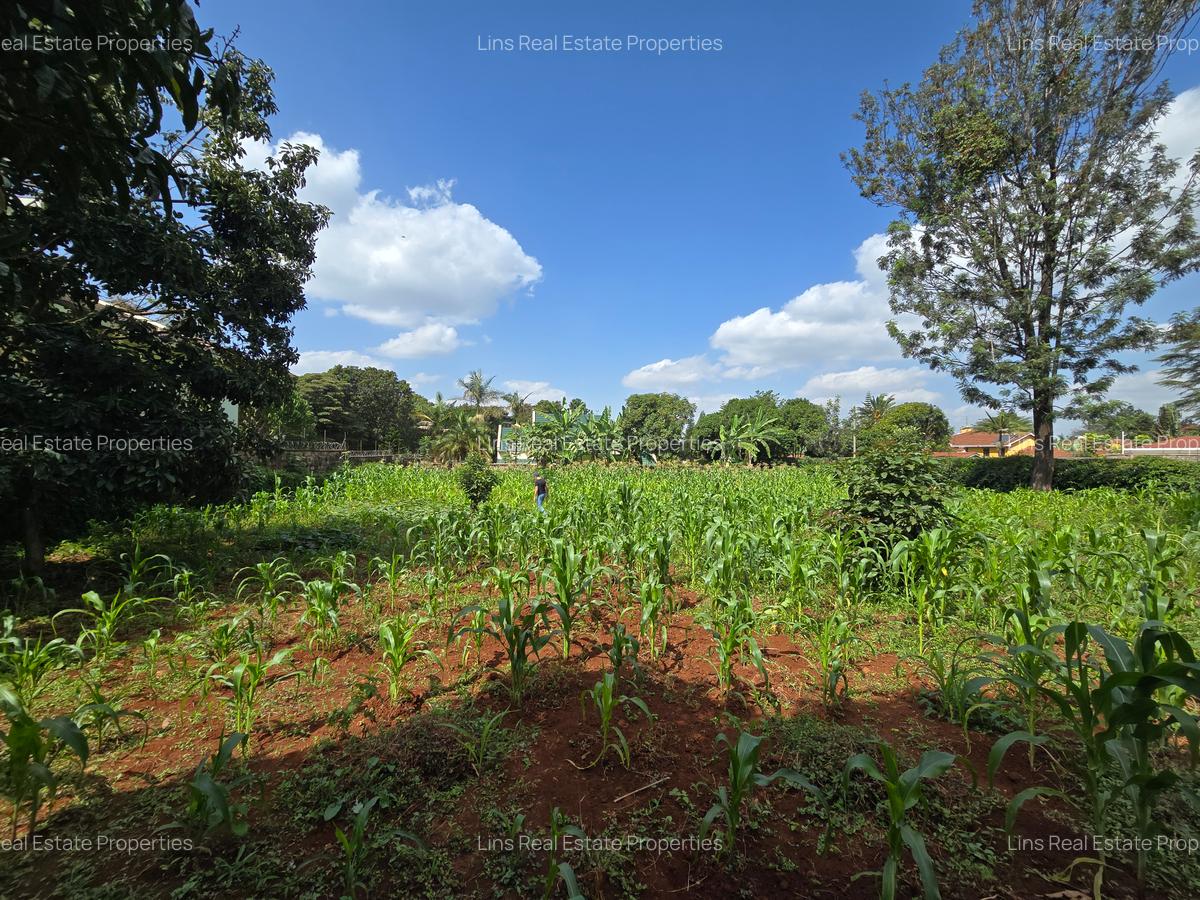 Residential Land in Runda - 3