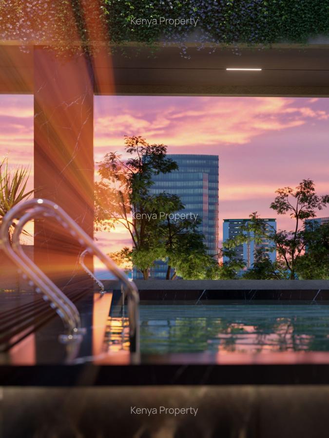 Studio Apartment with Swimming Pool at Mawensi Rd - 12