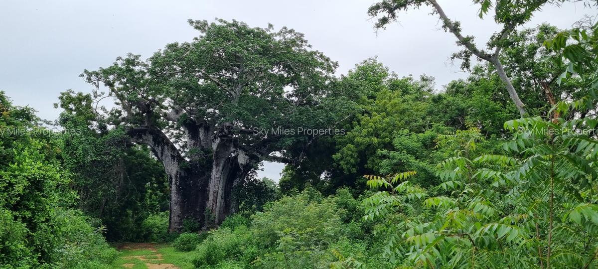 10 ac Land at Kuruwitu - 2