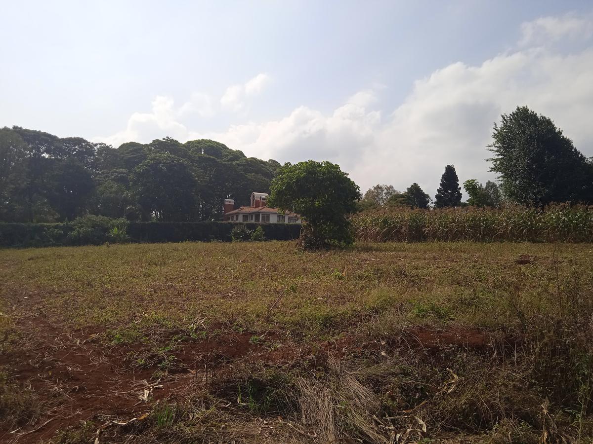 Land in Tigoni - 4